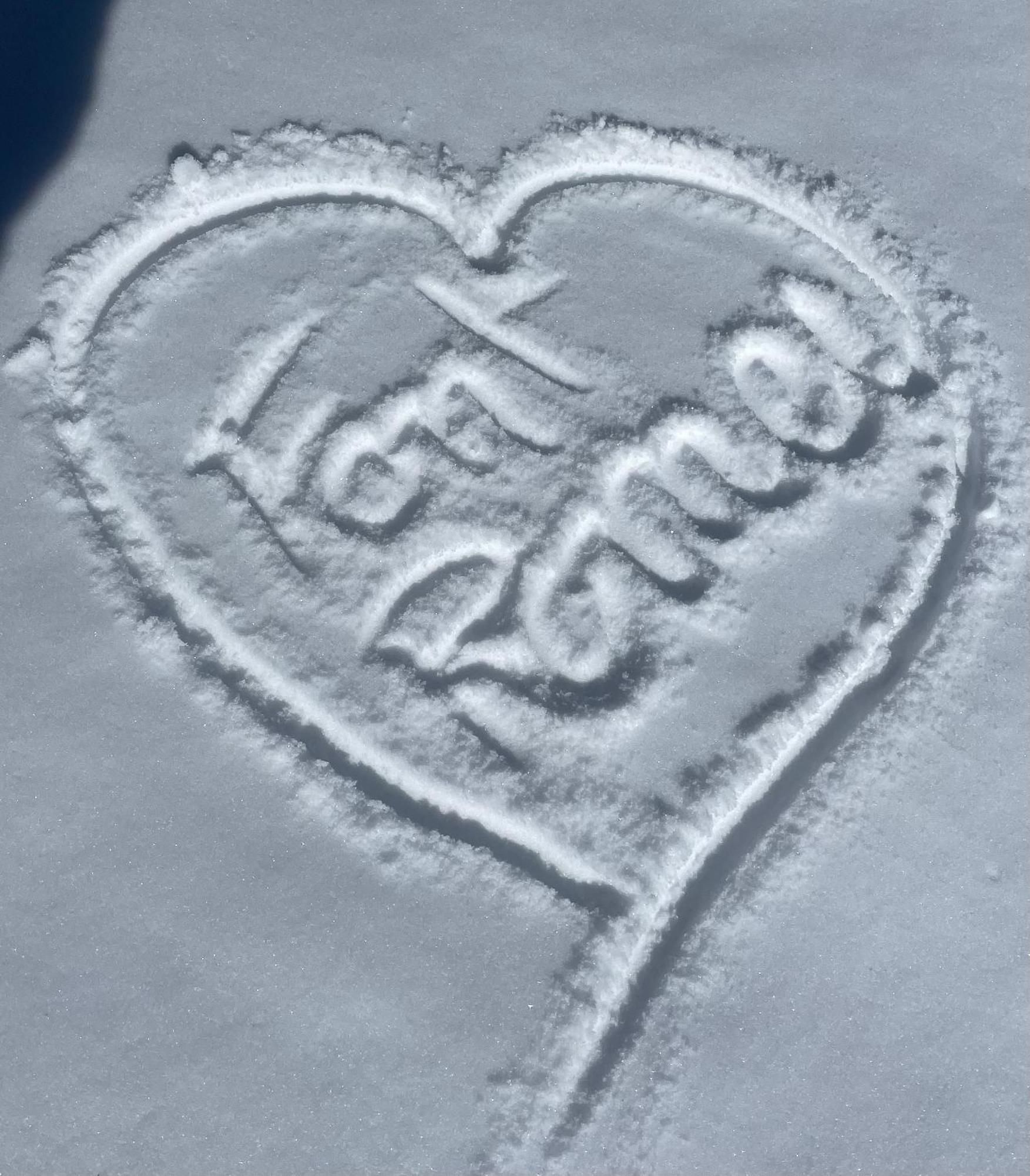 Des Pyrénées 3*